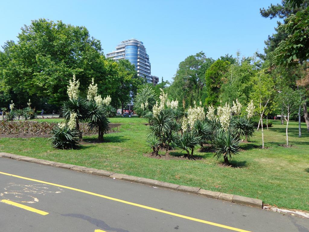 Zoya Apartment Burgas Zewnętrze zdjęcie